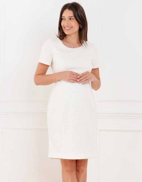 Shelljohnson.shop33dd7119f6 1