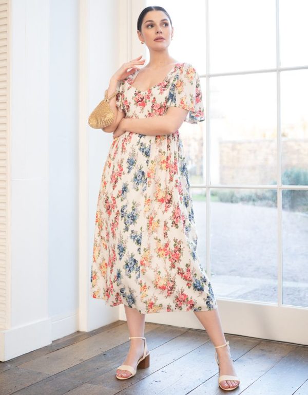 Shelljohnson.shopd6cdd6b552 5